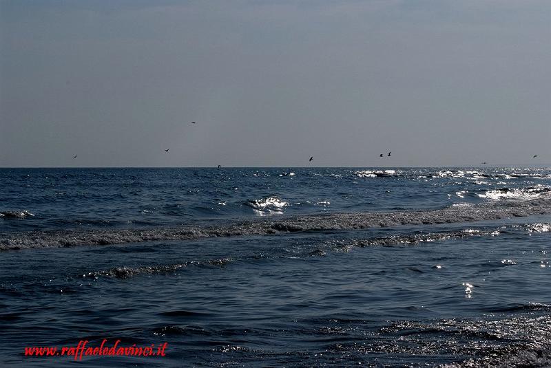 Mare di Avola 25dic07 (1).jpg